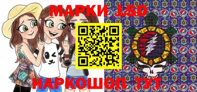мдпв Кингисепп