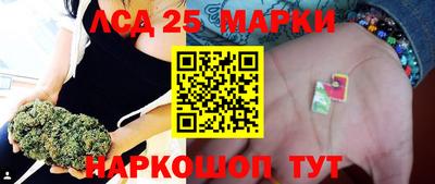 мдпв Кингисепп