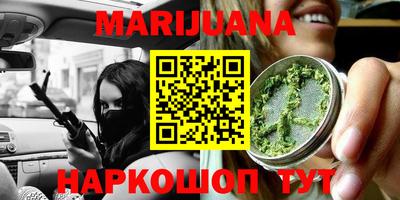 мдпв Кингисепп