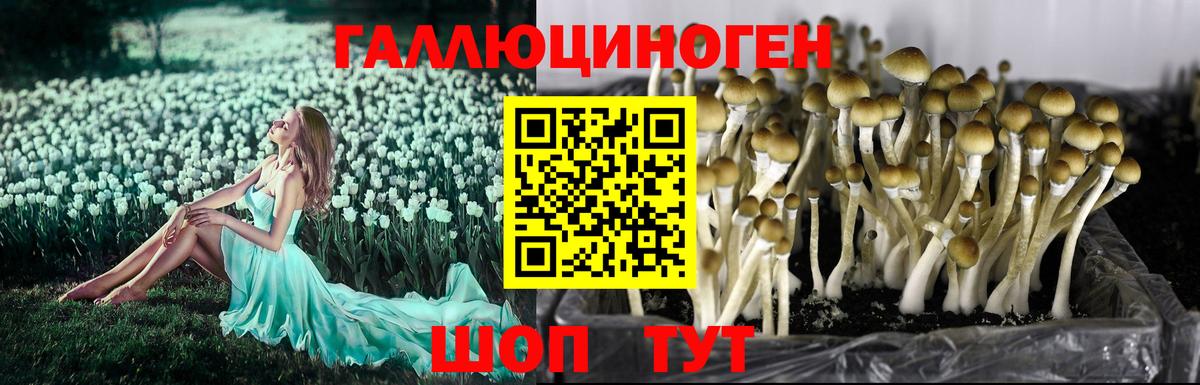 Галлюциногенные грибы мицелий  Вход с VPN  Крымск 