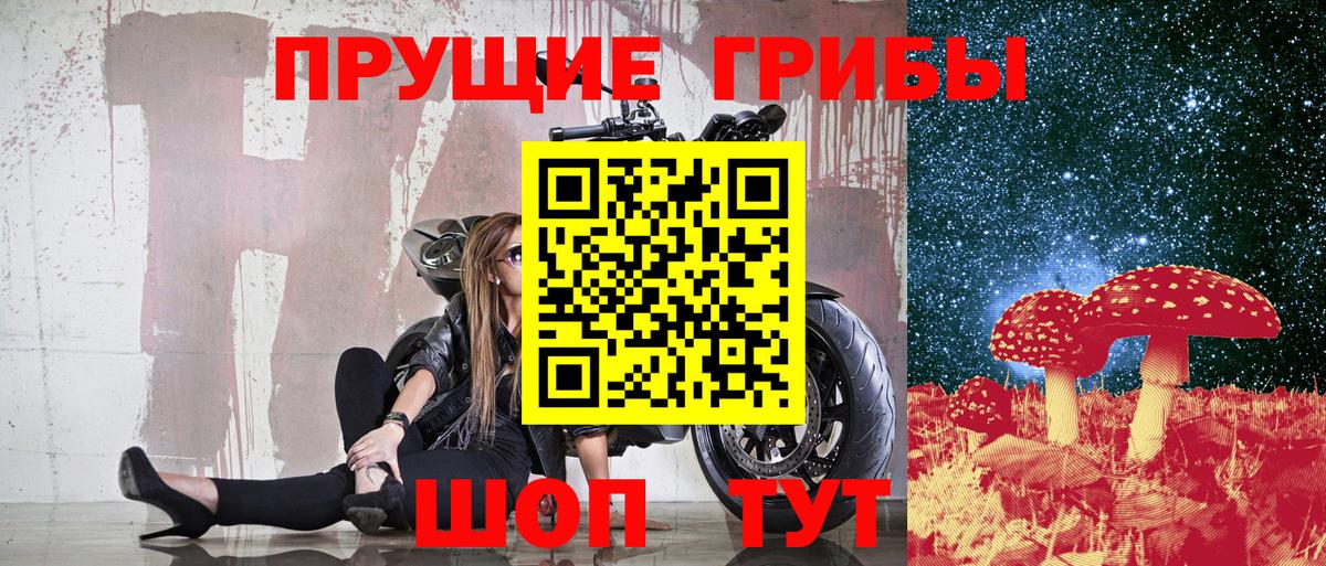 Псилоцибиновые грибы Cubensis Крымск